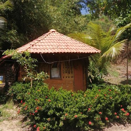 Ecopousada Casa Do Carimbo Fortalezinha Algodoal Exterior photo